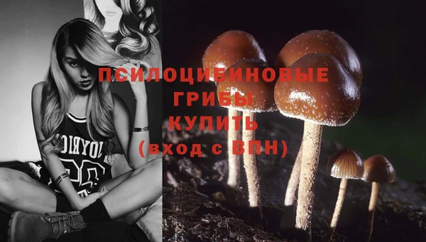Альфа ПВП Ростов