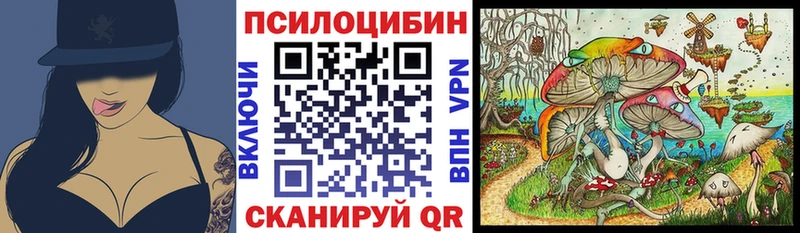 Галлюциногенные грибы MAGIC MUSHROOMS  где купить   Северск 